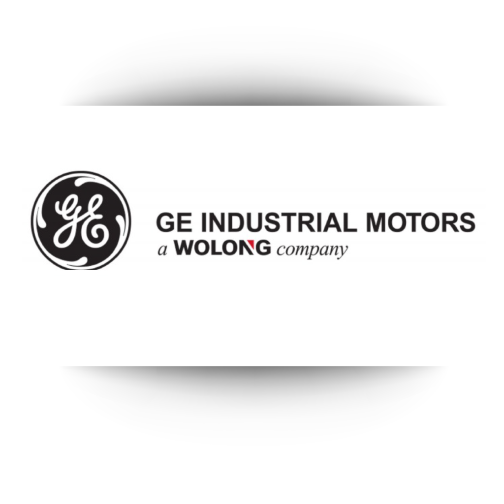 GE Wolong industrial motors logo